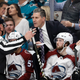 That iconic NHL image: A ref explaining an offside call spotted only on video review.